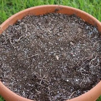 thumbnail for publication: Florida Homeowner Herbicide Guide: Considerations, Applications, and Selection